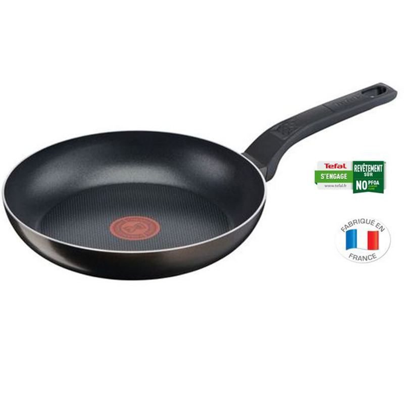 B5540202 تابه 20 EASY COOK ساخت فرانسه تفال