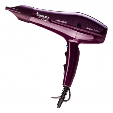 PR250 سشوار 2400 وات حرفه ای